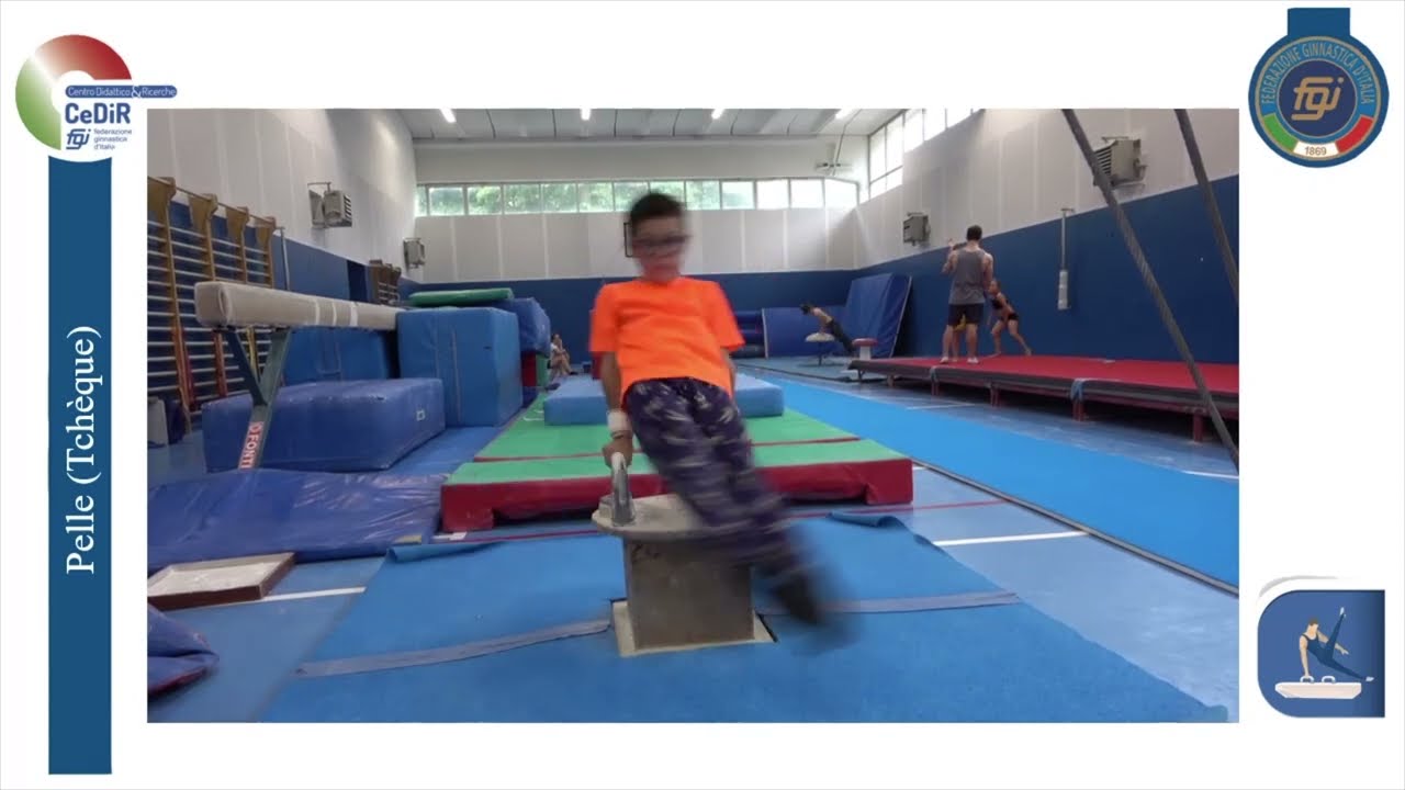 CeDiR - Formazione Quadri Tecnici FGI - Cavallo con maniglie - 