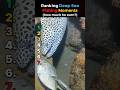 Ranking Deep Sea Fishing Moments Pt.19