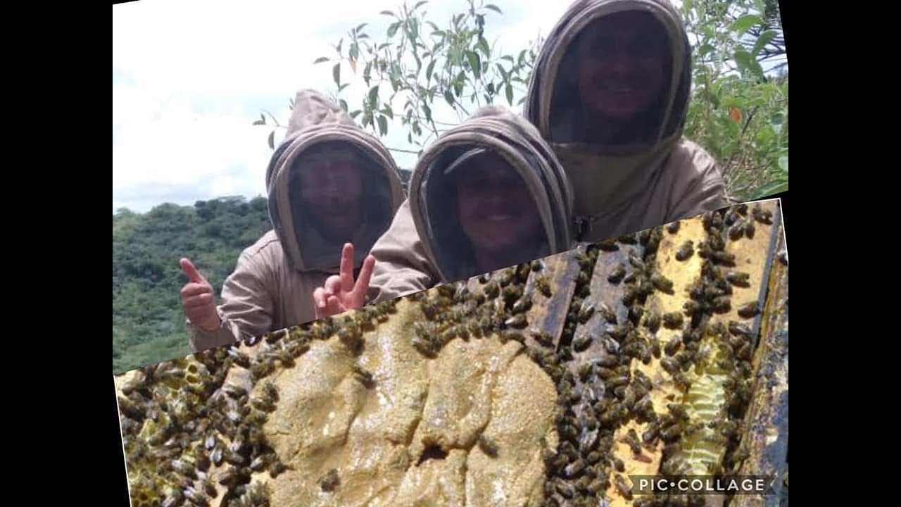 Como Preparar una Torta Proteica para Abejas Made In Colombia  3- Parte