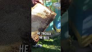 КАЗАХ ОБМАНУЛ ПЧЁЛ 🐝😱