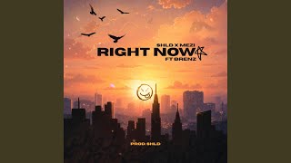 Right Now (feat. MEZI & Brenz)