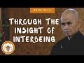 Through the insight of interbeing  dharma talk by thich nhat hanh 20121011