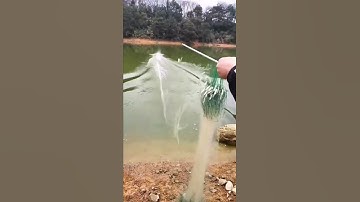 Thả lưới bắt cá kiểu hiện đại #fyp #fishing #relax #short