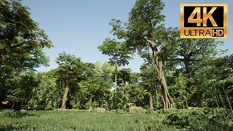 The Most Truly Photorealistic Forest Scene So Far!  (Unreal Engine 5!)