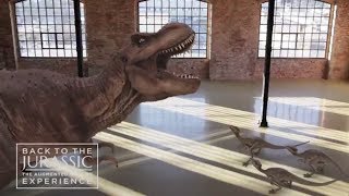 Back to the Jurassic Augmented Reality dinosaur experience for large-screens by INDE