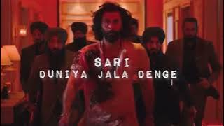 SAARI DUNIYA JALA DENGE Song Lofi(Slowed Reverb)Animal|Ranbir K,Rashmika,Bobby|Sandeep|B Praak,Jaani