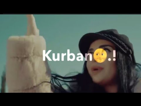 ويلكم حياتي حمادة نشواتي و ناز ديج حالات واتس أب حب جديد   حياتي
