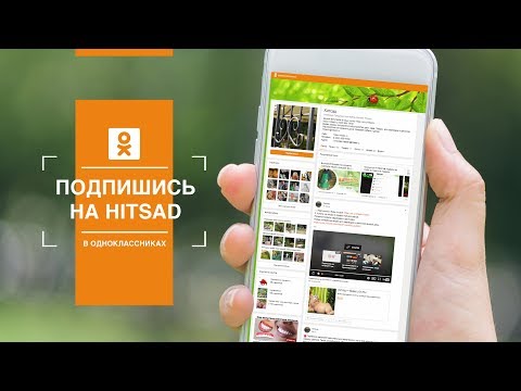 Video: Odnoklassniki'de OK Nasıl Doldurulur