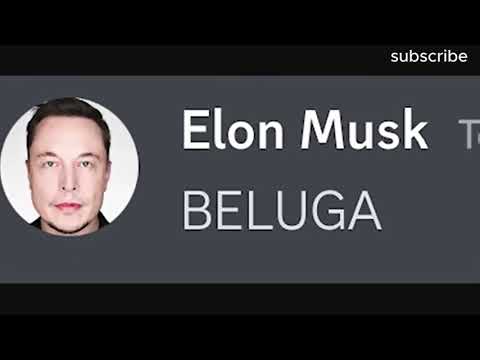 If Beluga owned google...