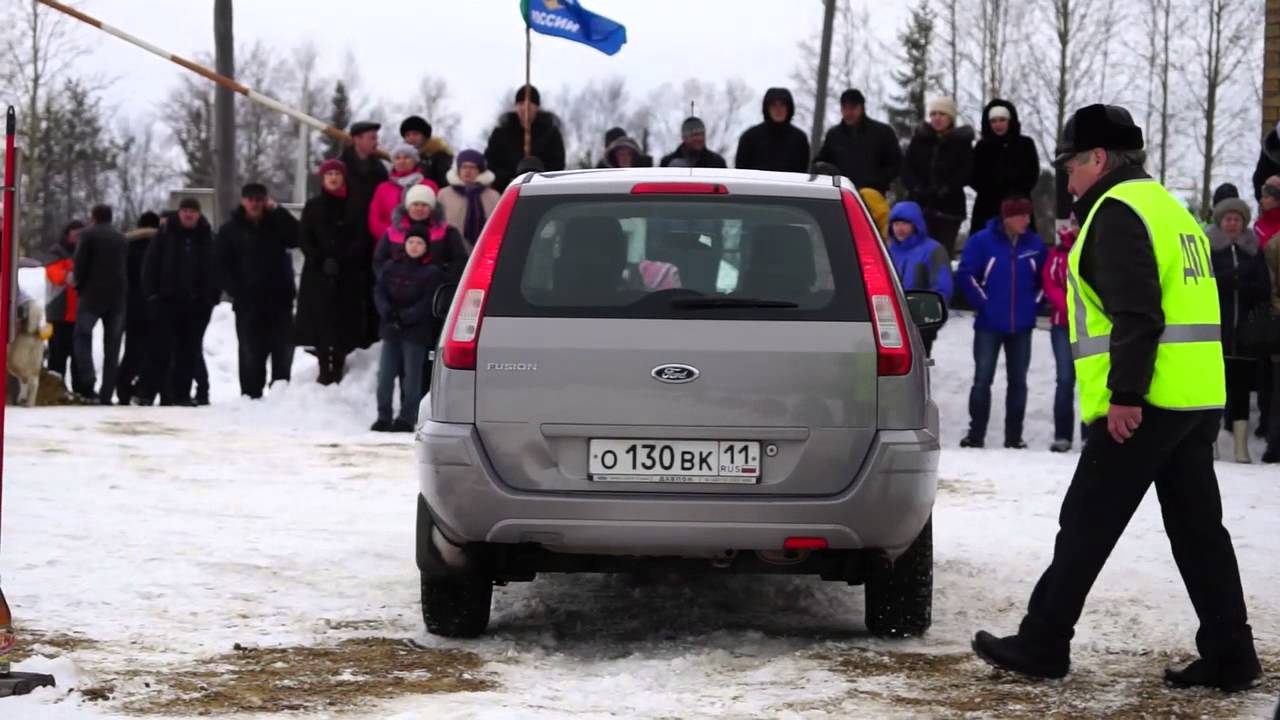 Авто леди или автоледи