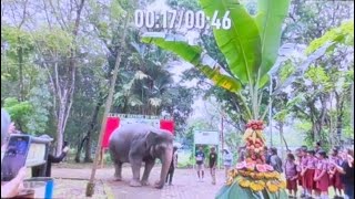 KLIP SITI ULANG TAHUN