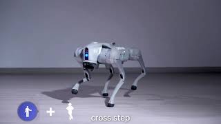 14. Operating the Advanced Mode on the Unitree Go2 Robot