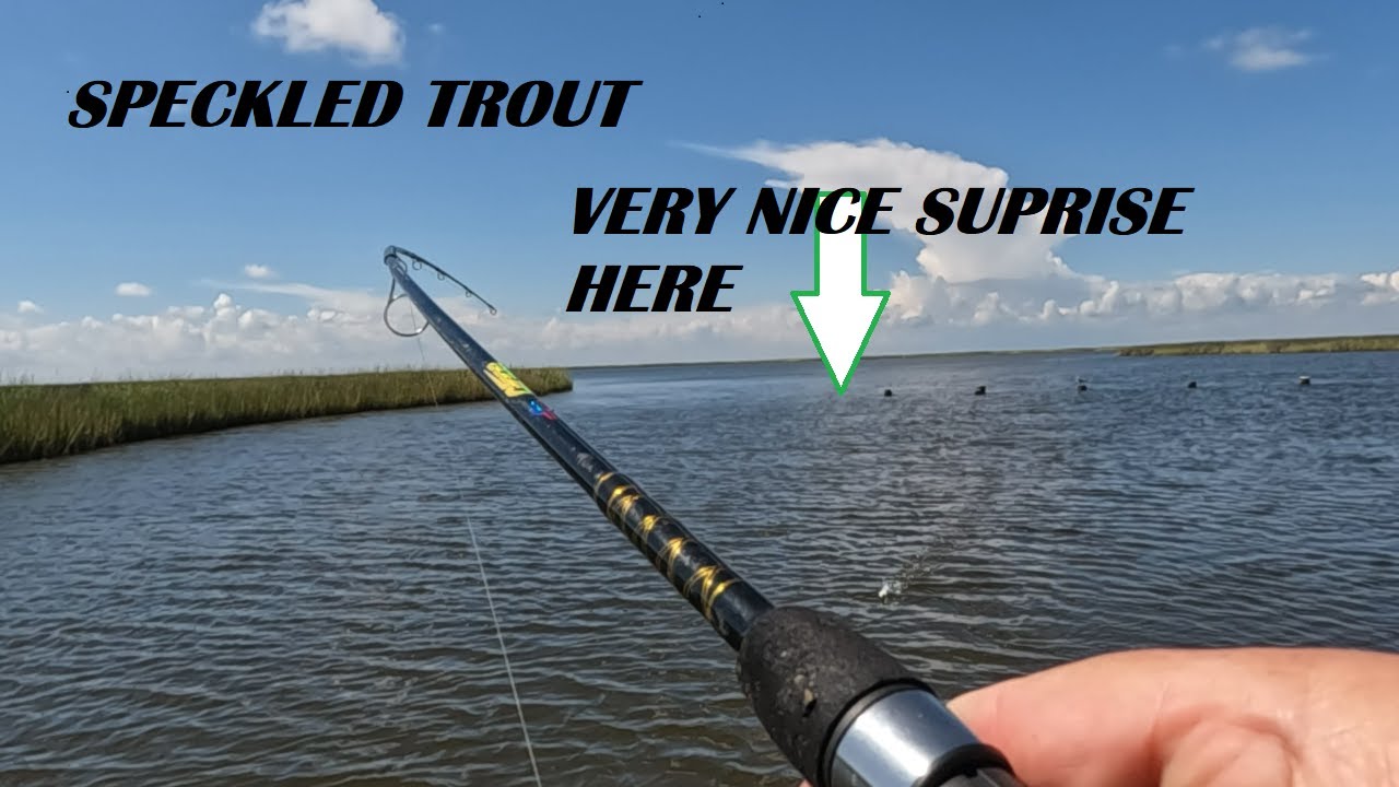 Этот небольшой заливчик преподнес сюрприз во время ловли крапчатой ​​форели!!