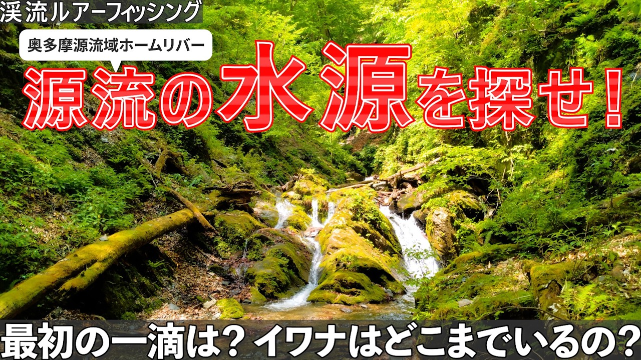 Mountain stream lure fishing] Aim for the first drop of the