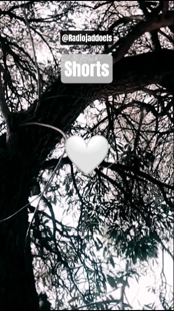 Matahari ku - Nike Ardilla #shorts #storywa #music #nostalgia @Radiojaddoels
