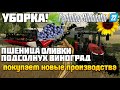 ЖАРА! Собираем ВИНОГРАД, ОЛИВКИ, ПШЕНИЦУ и ПОДСОЛНЕЧНИК Farming Simulator 22