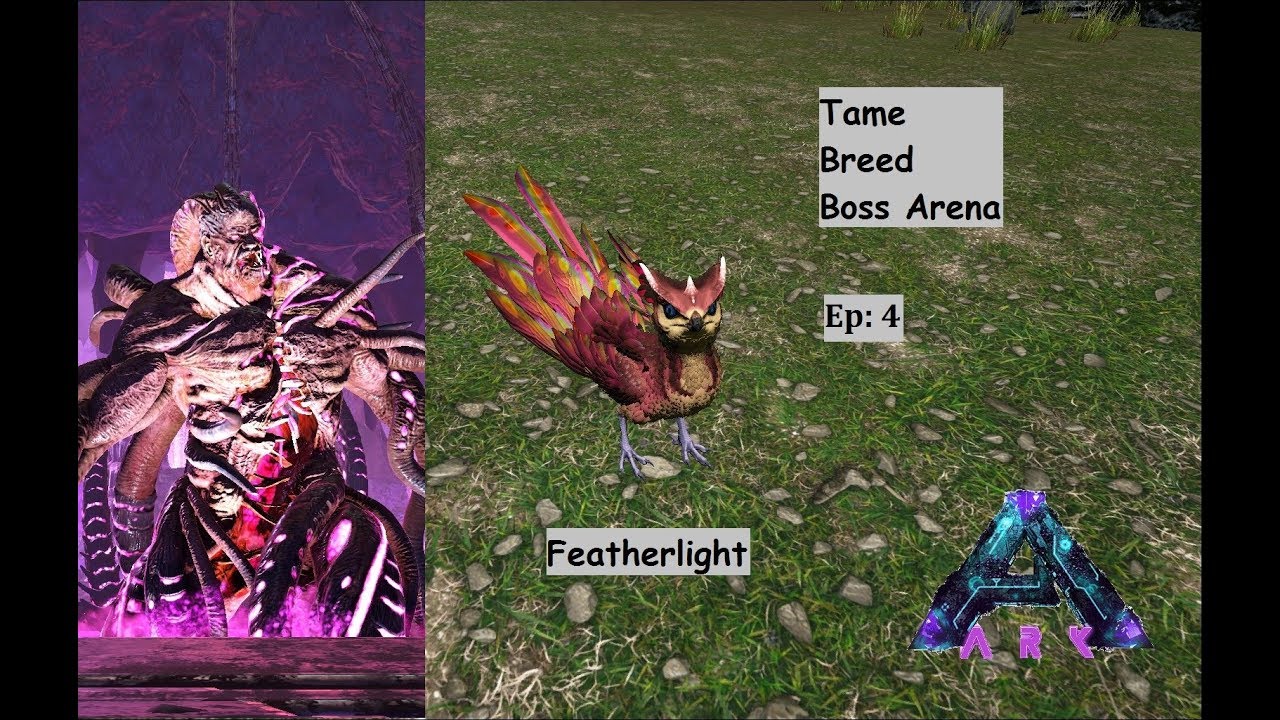 Tame, Breed, Boss Arena Gamma Rockwell : Ep 4 : Featherlight