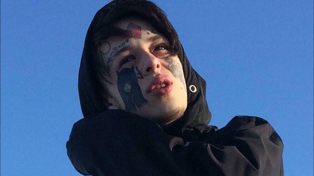 движение апфс. апфс картинки. движение апфс. автостопом по фазе сна собачий вальс. автвтостопом по фазе сна.