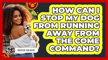 How Can I Stop My Dog From Running Away From The Come Command? - Obedient Dog Guide