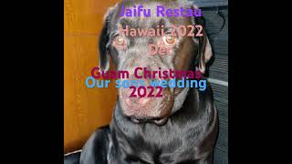 Hawaii Guam 2022 Christmas subic bay batangas 2023 January with our son dogs hubby me plus JAI FU