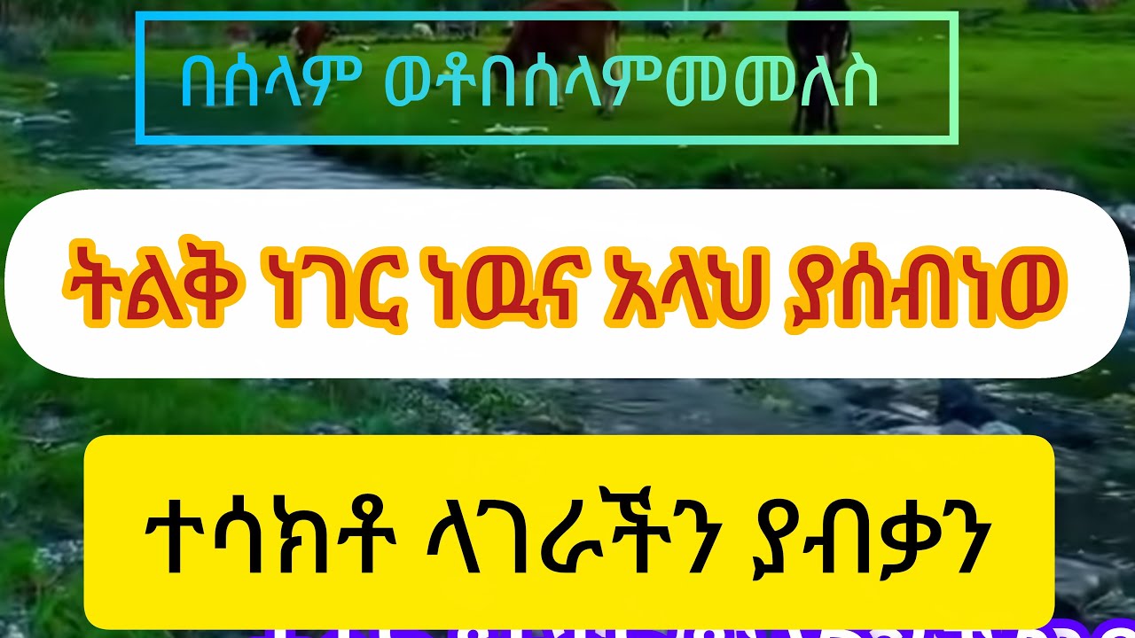 እሙ ሂክማ Tube is live!በሰላም ወቶ በሰላምመመለስ ትልቅ ነገርነዉና አላህ ያሰብነዉ ተሳክቶ ላገራችን ያብቃን
