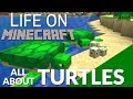 All About the Turtle in Minecraft & Turtle Eggs | How Turtle Eggs Hatch & How to get a Turtle Shell