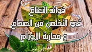 فوائد النعناع في التخلص من الصداع و محاربة الاورام