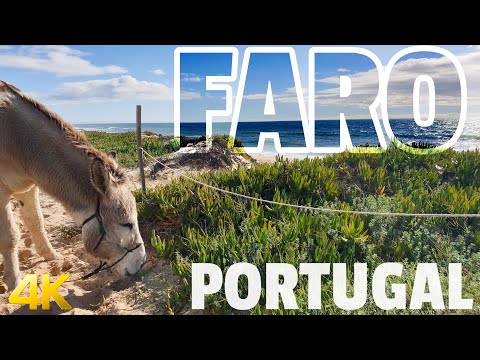 Video: Hướng dẫn đến Bãi biển Faro