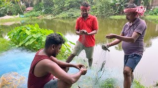 Download Lagu খাল থেকে জাল পেতে মাছ ধরলাম,সাথে মায়ের হাতে জমিয়ে মটন কষা খেলাম!!! MP3 Download Lagu খাল থেকে জাল পেতে মাছ ধরলাম,সাথে মায়ের হাতে জমিয়ে মটন কষা খেলাম!!! MP3