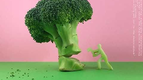 Disclaimer FlexVonDoom (Audio)