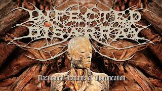 Infected Disarray - Masticated Remains of Detruncation (Official Stream)