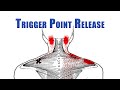 Trigger Point Release | Upper Trapezius, Levator Scapulae and Suboccipitals | No Tools Needed