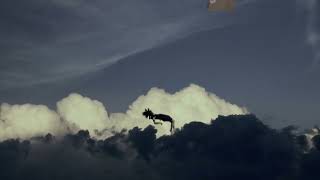 Download Lagu Christina Perri - Arms Official Music Video MP3