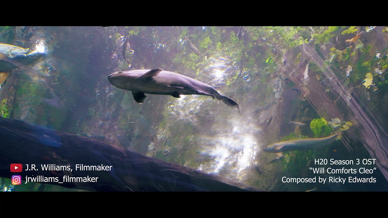 Aquariums Are Damn Sweet!