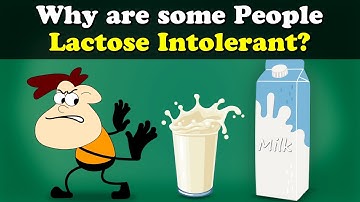 Why are some People Lactose Intolerant? + more videos | #aumsum #kids #science #education #children