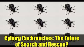 Cyborg Cockroaches: The Future of Search and Rescue? | Biohybrid Technology Explained