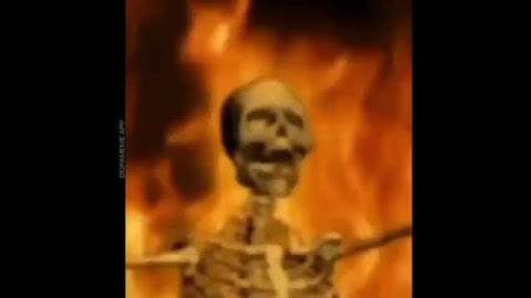 Random memes saved on my camera roll