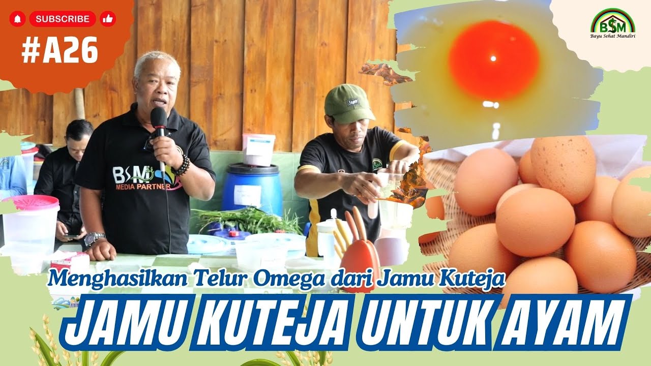 Bayu Diningrat ~ Menghasilkan Telur Omega dari Jamu Kuteja