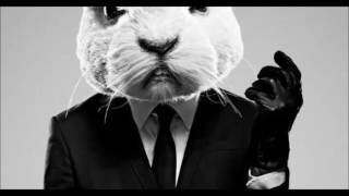 White rabbit - S-o-l-o-m-u-n mix