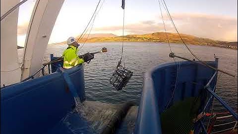 How to Recover CableFish