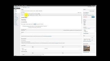 Wordpress - WYSIWYG editor
