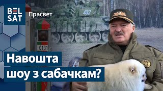 Психологическая операция с участием Лукашенко / ПроСвет