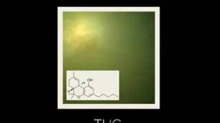 Magna Carta Cartel - THC chords