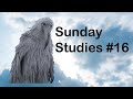 Sunday studies 16  future 250