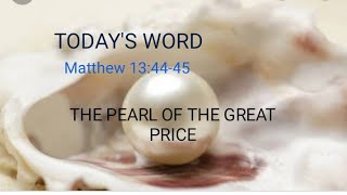 Matthew 13:44_45 The Treasure Hunter and the Merchant