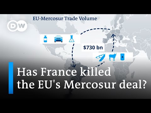 Is the disagreement over the EU-Mercosur deal playing into China's hands? | DW News