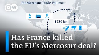 Is the disagreement over the EU-Mercosur deal playing into China's hands? | DW News