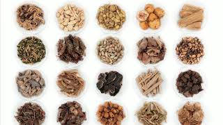 Acupuncture for Infertility