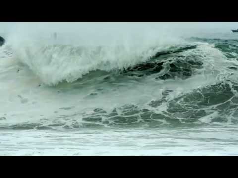 The Wedge, Newport Beach, 30ft Waves!  July 25th 2009