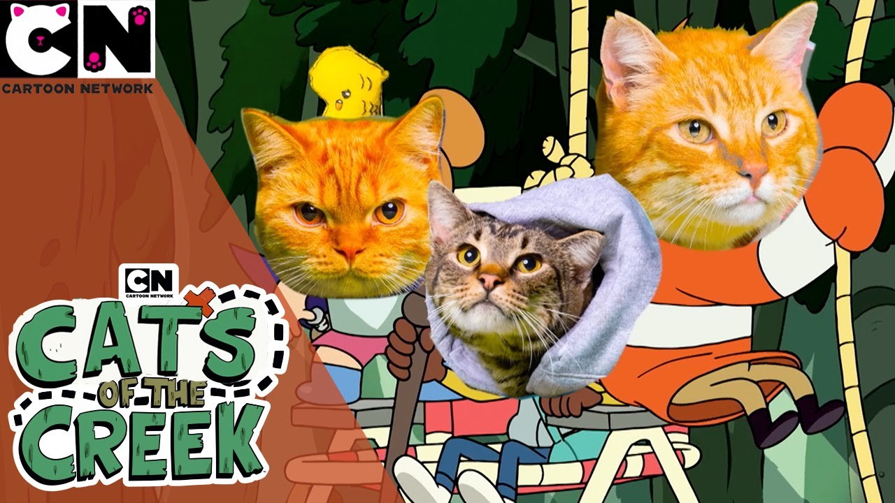 Cats of the Creek Craig of the Creek Cartoon Network UK YouTube